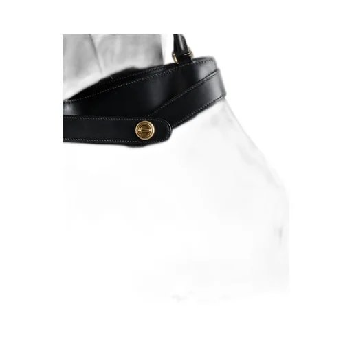 Large Prada Carey Leather Bag