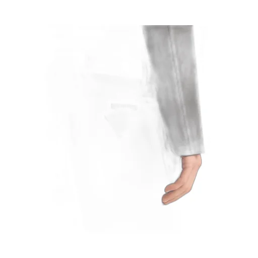 Poplin Bermudas