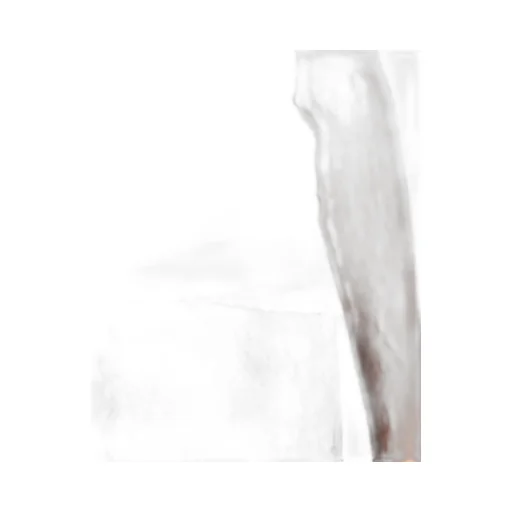 Cotton Polo Shirt