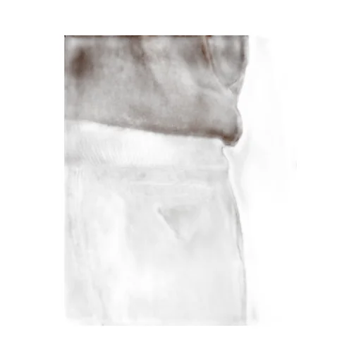 Cotton Bermudas