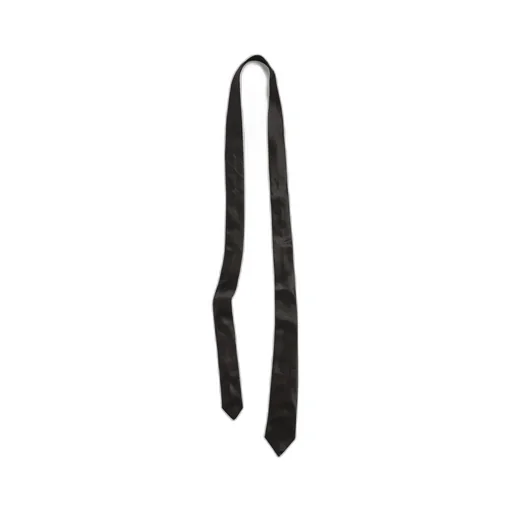 Tie