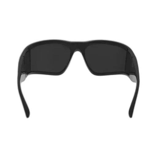 Sunset D-Frame Sunglasses