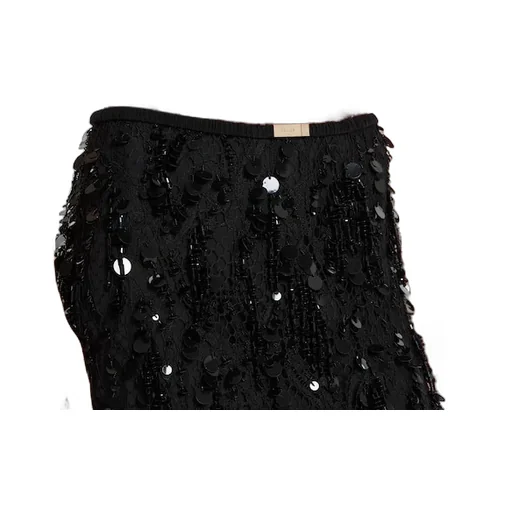 Sequin Embroidered Lace Skirt