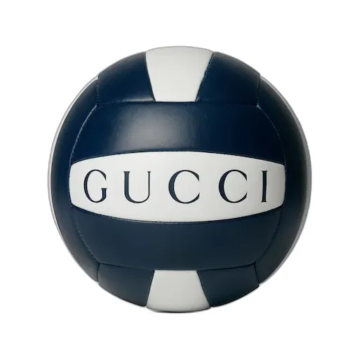 Printed Rubber Beach Volley Ball