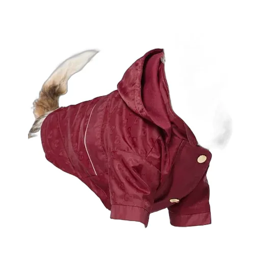 Gg Nylon Pet Rain Coat