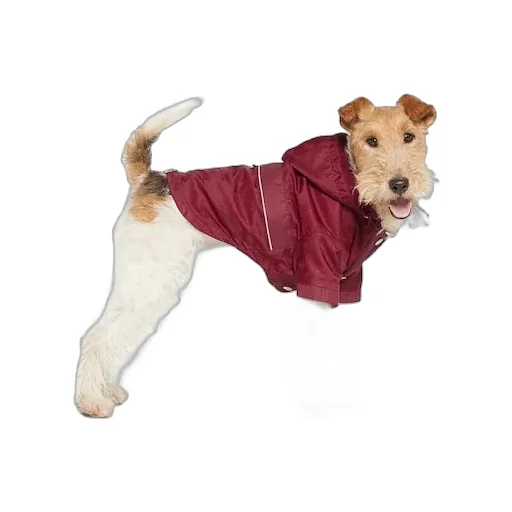 Gg Nylon Pet Rain Coat