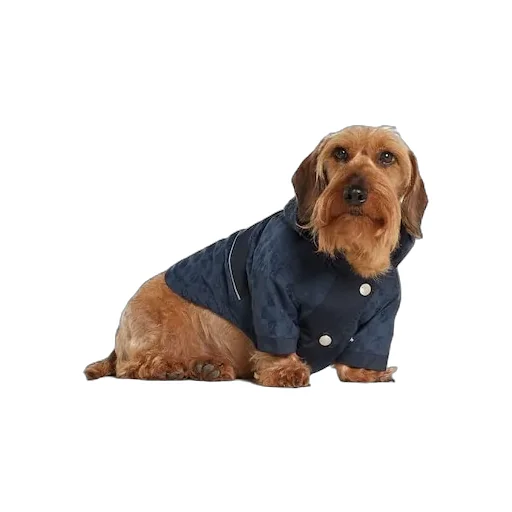 Gg Nylon Pet Rain Coat