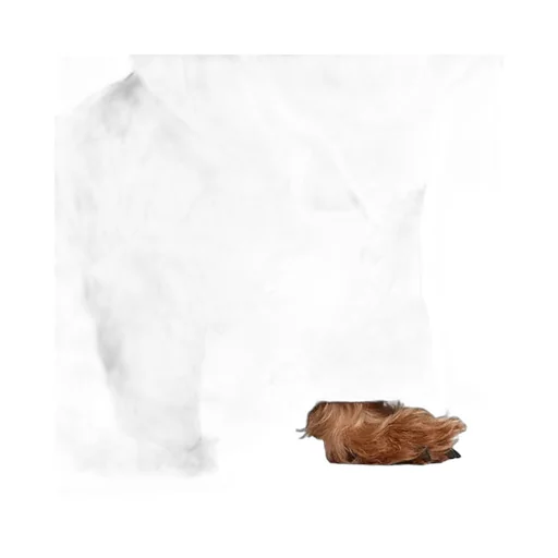 Gg Nylon Pet Rain Coat