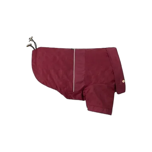 Gg Nylon Pet Rain Coat