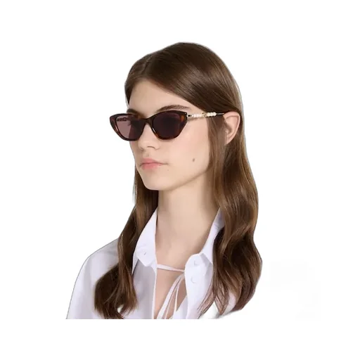 Cat Eye Frame Sunglasses