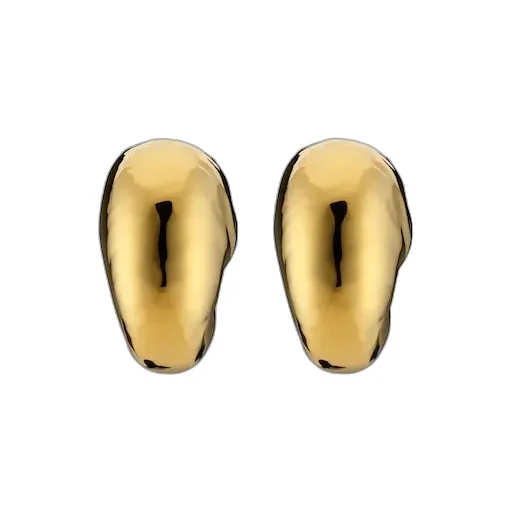 Shell-Shaped Earrings