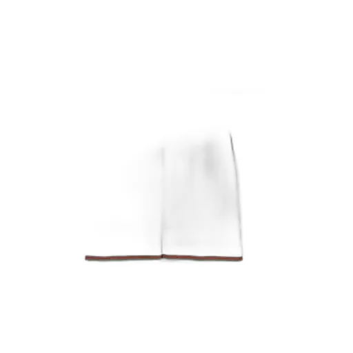 Skirt With Web Trim
