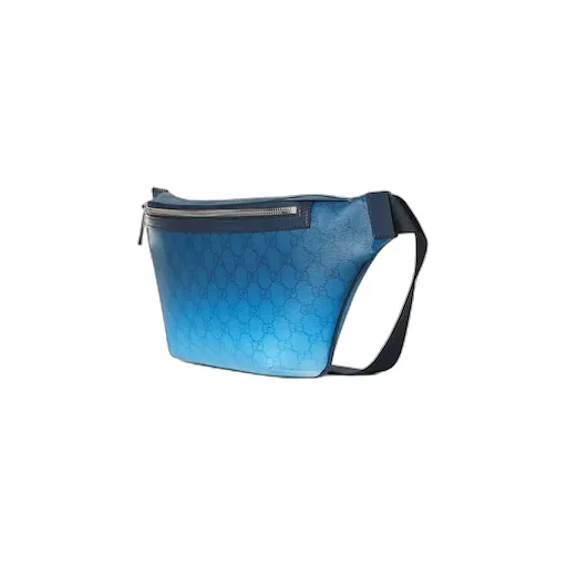 Gucci Chroma Large Belt Bag