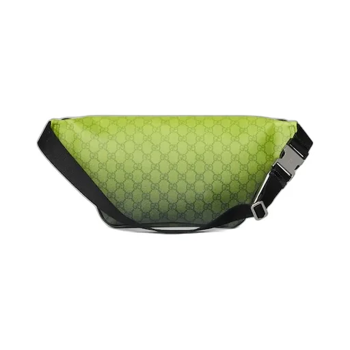 Gucci Chroma Large Belt Bag