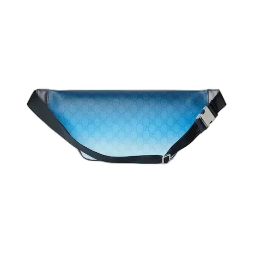 Gucci Chroma Large Belt Bag