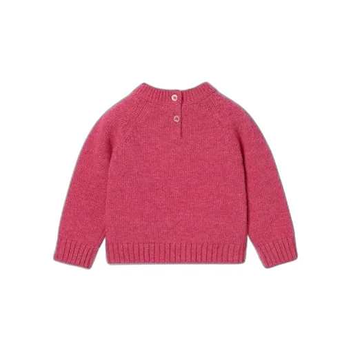 Baby Wool Sweater With Embroidery