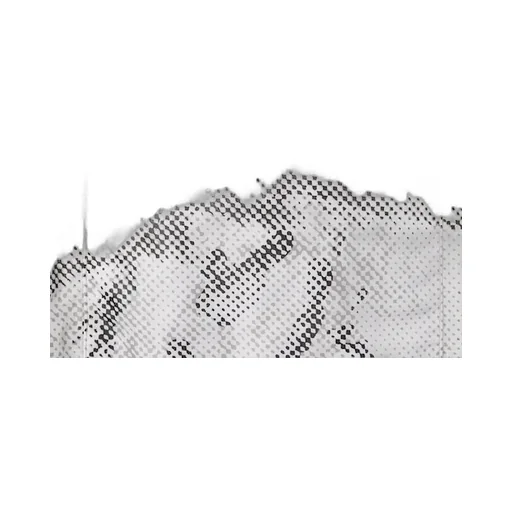 Printed Nylon Jacket