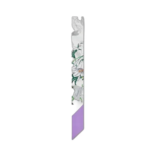 Printed Silk Twill Ribbon