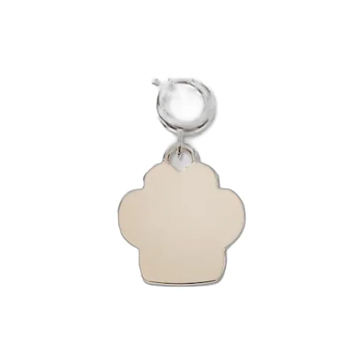 Paw-Shaped Charm