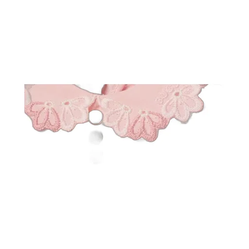 Baby Embroidered Silk Dress