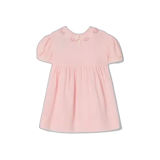 Baby Embroidered Silk Dress