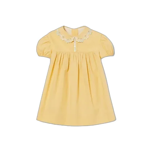Baby Embroidered Cotton Dress