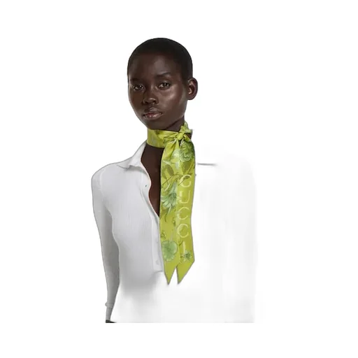 Printed Silk Twill Ribbon