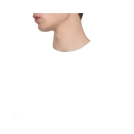 Cotton Jersey T-Shirt With Embroidery