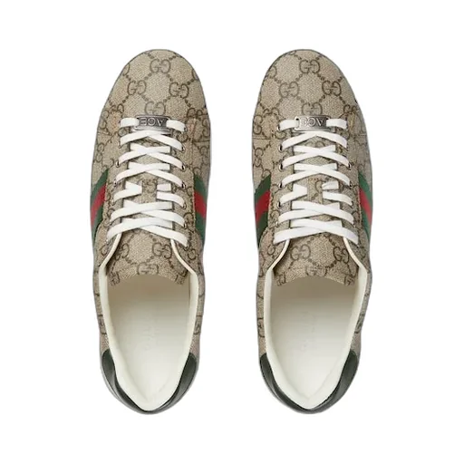 Gucci Ace Trainer With Web