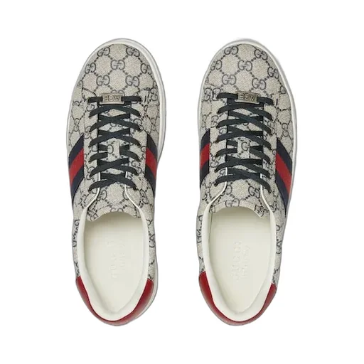 Gucci Ace Trainer With Web