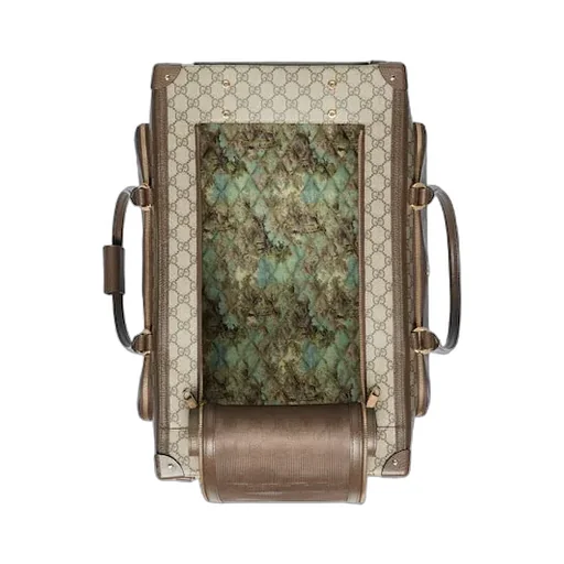 Pet Carrier With Web