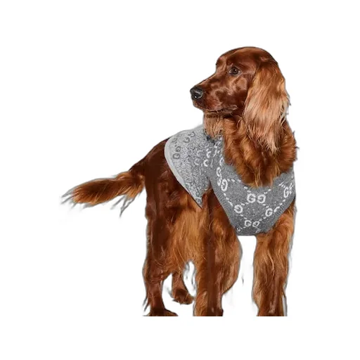 Wool Jacquard Pet Jumper