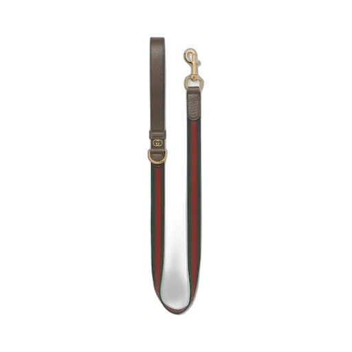 Large Web Pet Leash