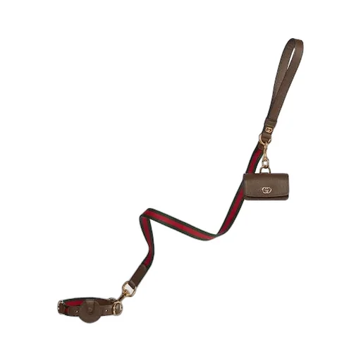 Small/Medium Pet Leash