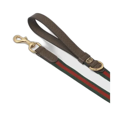 Large Web Pet Leash