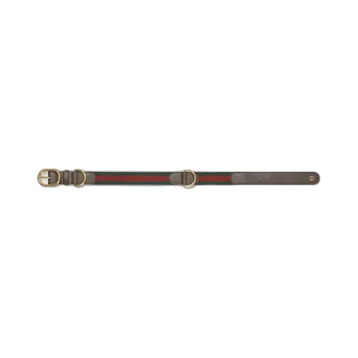 Large/Extra-Large Pet Collar