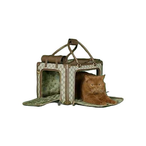 Small Gg Pet Carrier With Web