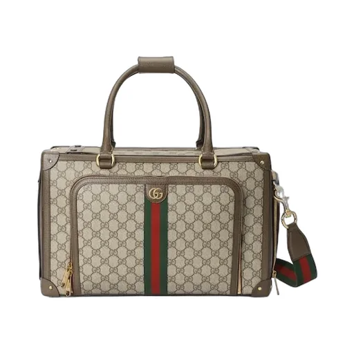 Small Gg Pet Carrier With Web
