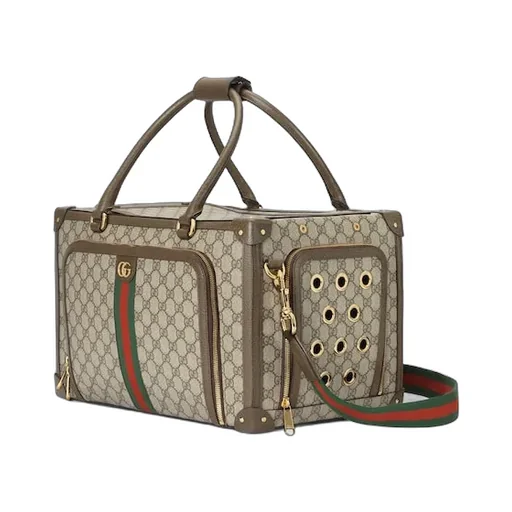 Small Gg Pet Carrier With Web