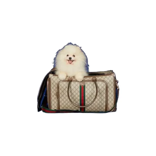 Pet Carrier With Web