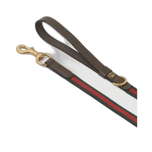 Small/Medium Pet Leash