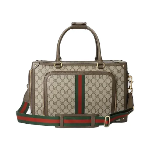 Small Gg Pet Carrier With Web