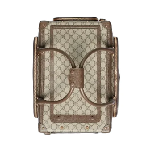 Small Gg Pet Carrier With Web