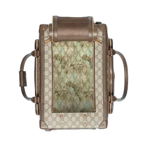 Small Gg Pet Carrier With Web