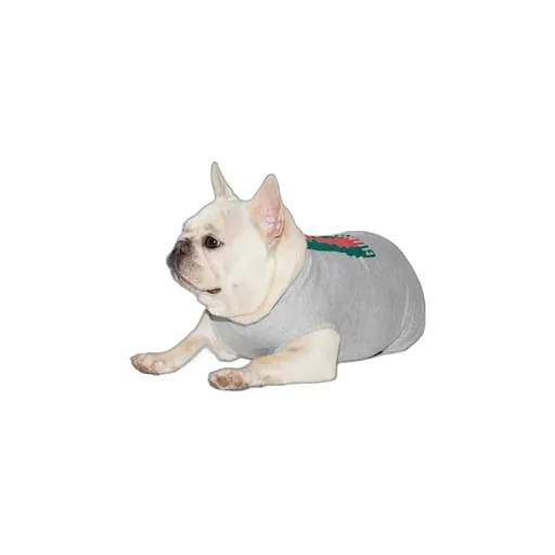 Printed Cotton Pet T-Shirt