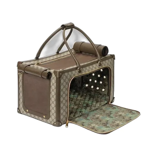 Pet Carrier With Web