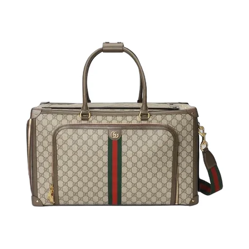 Pet Carrier With Web