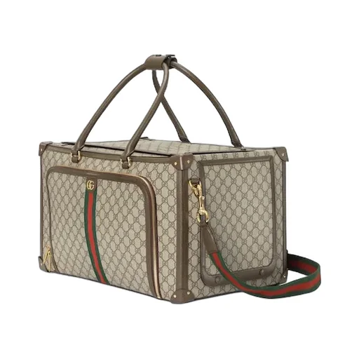 Pet Carrier With Web