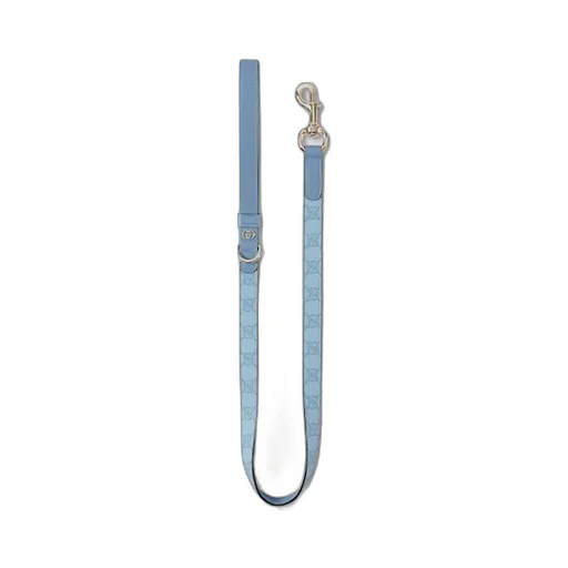 Small/Medium Leash