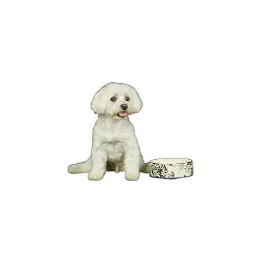 Large Herbarium Print Pet Bowl